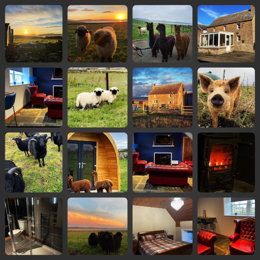 Orkney Farm Bothy Villa Stromness Esterno foto
